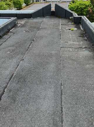 苔が生えて雨漏りしていた函館市内施設の屋上